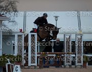 Quality Tosc Tour2013- S5 1861 : Arezzo, Cavalli d'Italia, Quality Up, Toscana Tour 2013, foto di Stefano Secchi ©